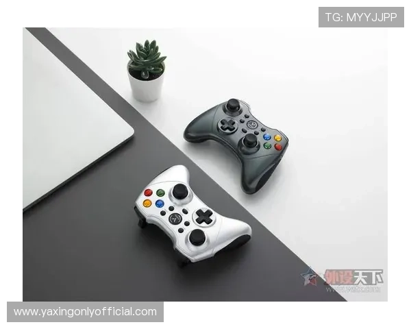 亚星游戏官网yaxin686最新版本下载与安装指南，帮助玩家轻松畅玩游戏体验